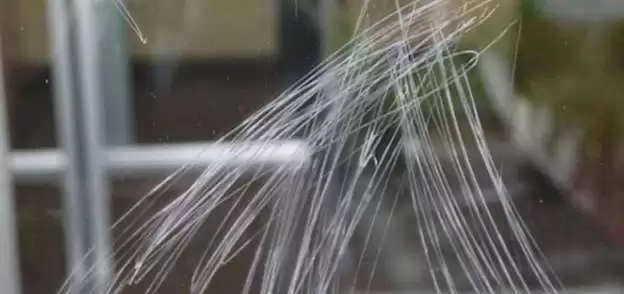 CÁCH XỬ LÝ KÍNH CƯỜNG LỰC BỊ XƯỚC ĐƠN GIẢN NHẤT TẠI NHÀ