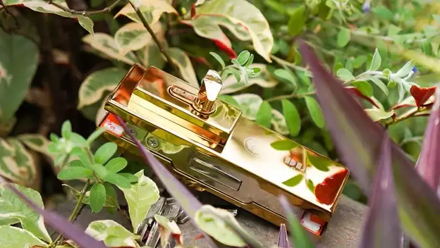 ĐÔI NÉT VỀ KẸP KHÓA ADLER D322 VÀ D322 PVD