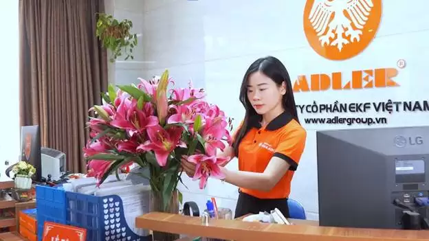 KHÔNG KHÍ TẾT RỘN RÀNG TẠI VĂN PHÒNG ADLER