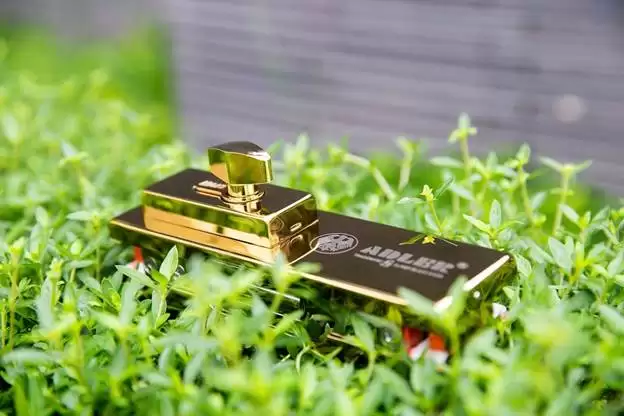 ĐÂU LÀ GIẢI PHÁP AN NINH TUYỆT ĐỐI CHO MỖI CÁNH CỬA