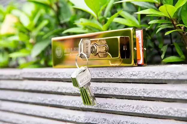 ĐÂU LÀ GIẢI PHÁP AN NINH TUYỆT ĐỐI CHO MỖI CÁNH CỬA